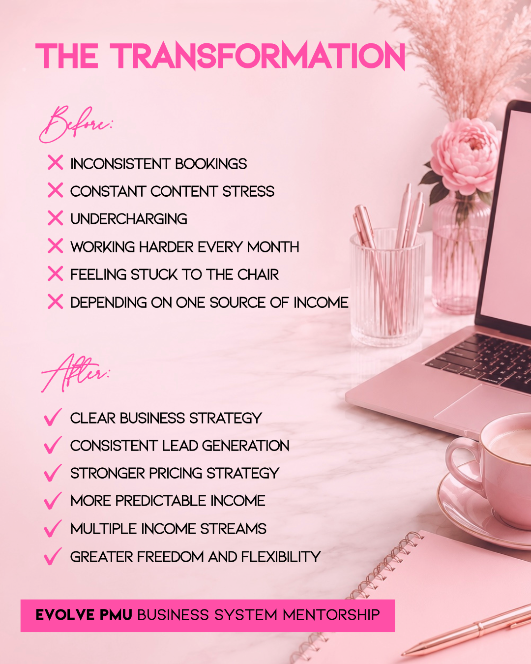 PMU Business Mastery Mentorship