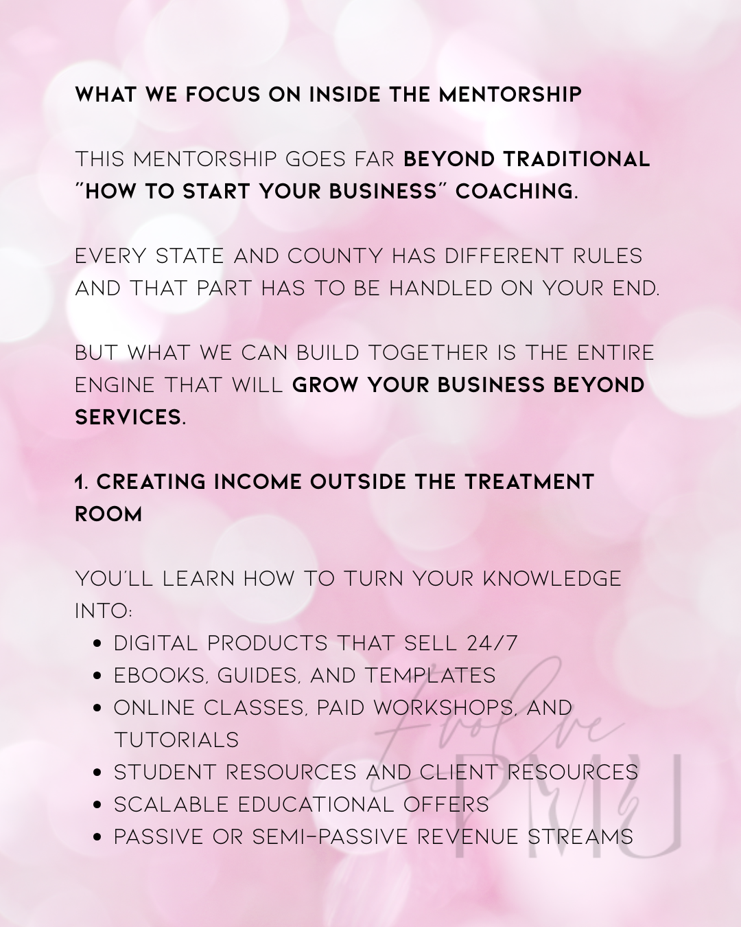 PMU Business Mastery Mentorship