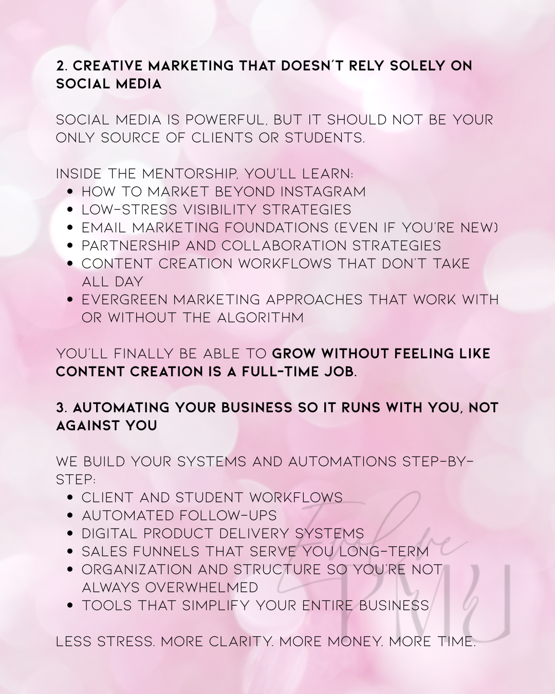 PMU Business Mastery Mentorship